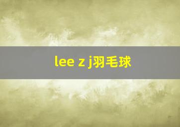 lee z j羽毛球